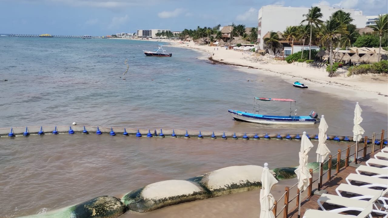 Coparmex propone mesa permanente de tres niveles de gobierno para combatir el sargazo en las playas de Quintana Roo.