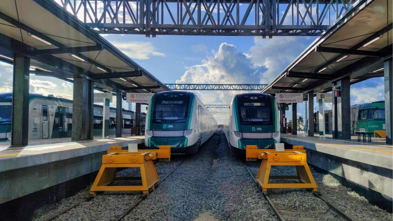 Colectivo 'Sélvame del Tren' reporta impactos ambientales del Tren Maya en Quintana Roo.