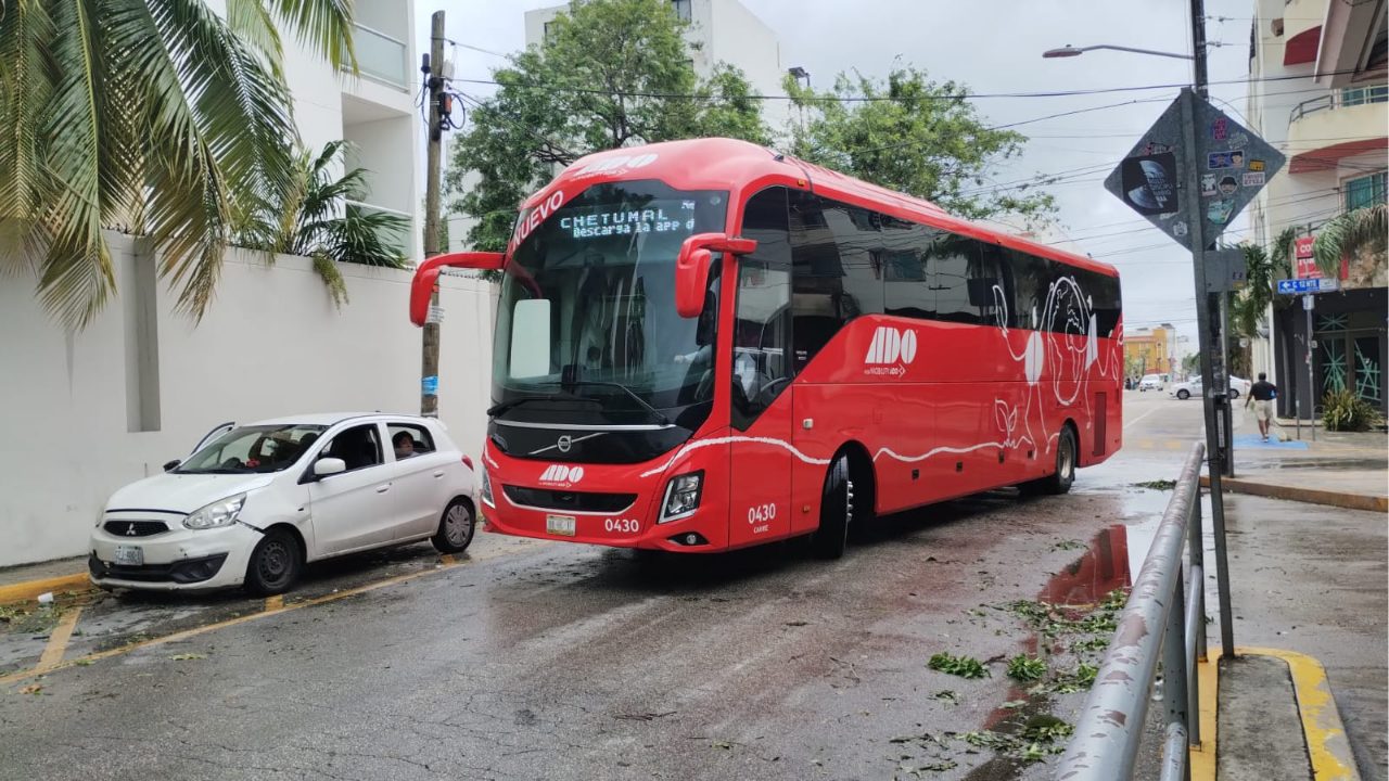 ADO estudia expandir sus servicios al transporte público en Quintana Roo.