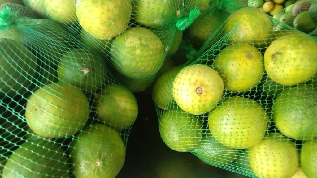 Sobreoferta de limón en Quintana Roo afecta a productores en 2025.