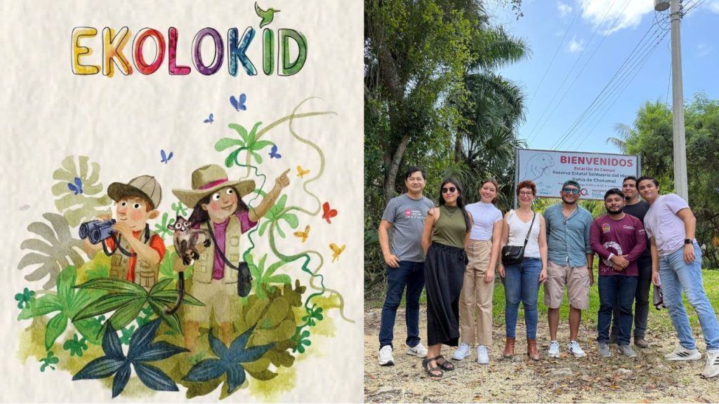 "Ekolokid", la nueva guía digital enseña a niños a cuidar manatíes y arrecifes de Quintana Roo.