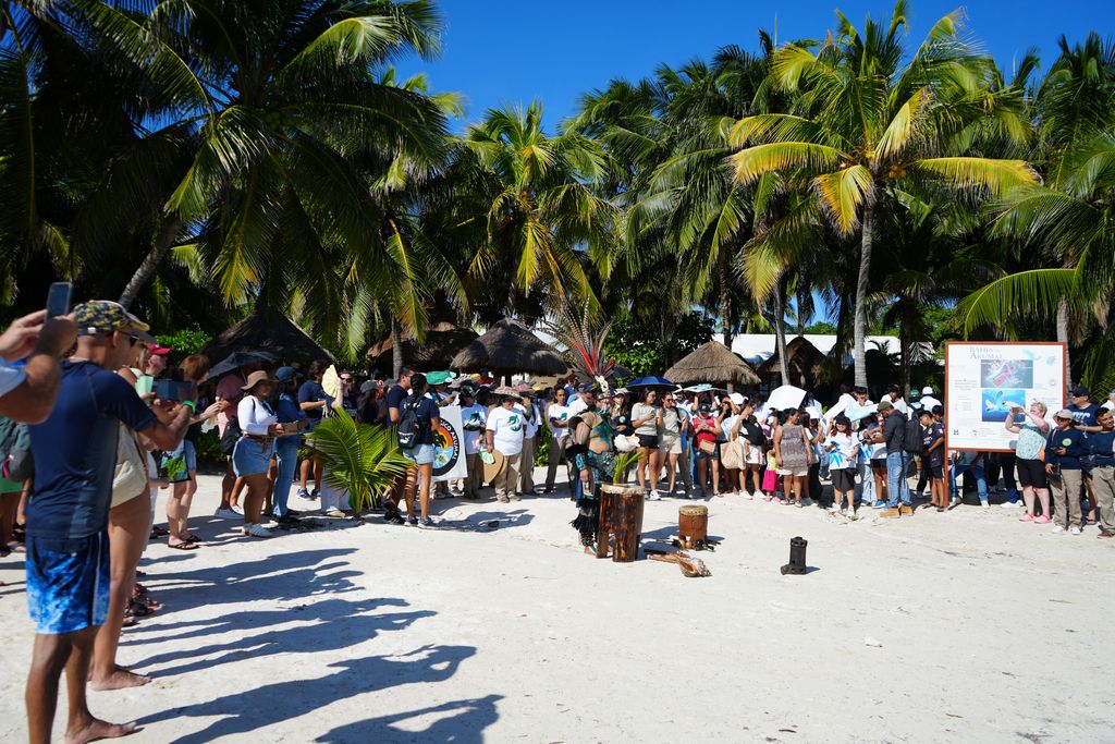 Eco-Bahía lidera el Festival de la Tortuga Marina Tulum 2025 con dinámicas educativas innovadoras.