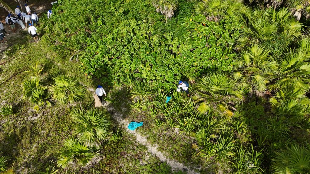 Limpieza en playas y cenotes de Playa del Carmen logra el retiro de más ...