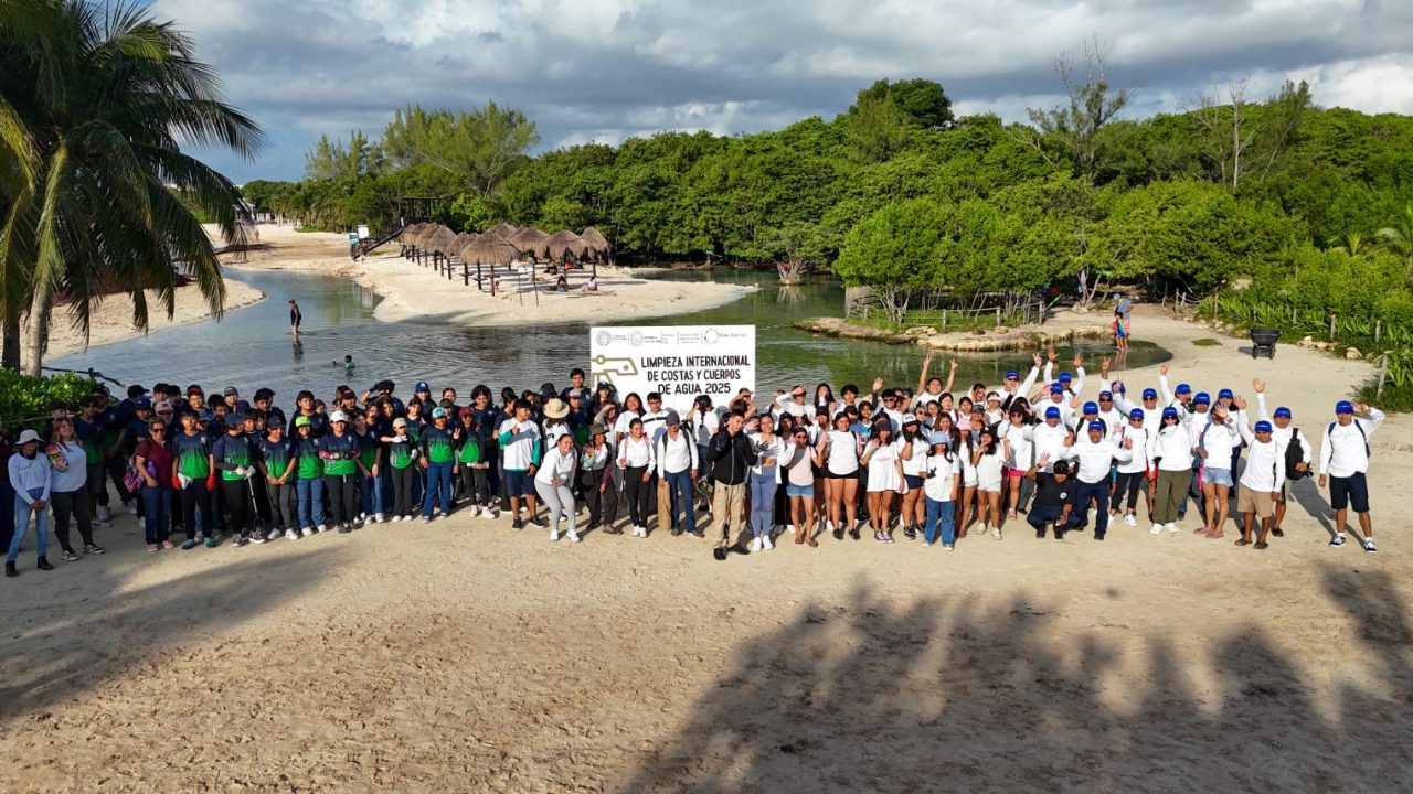 Limpieza en playas y cenotes de Playa del Carmen logra el retiro de más ...