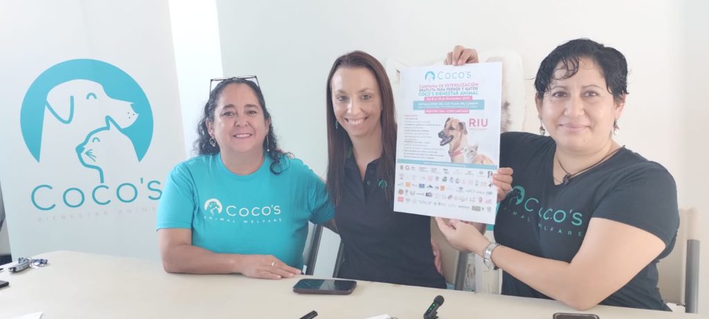 Exhortan a dueños de mascotas a jornada de esterilización gratuita en Playa del Carmen.