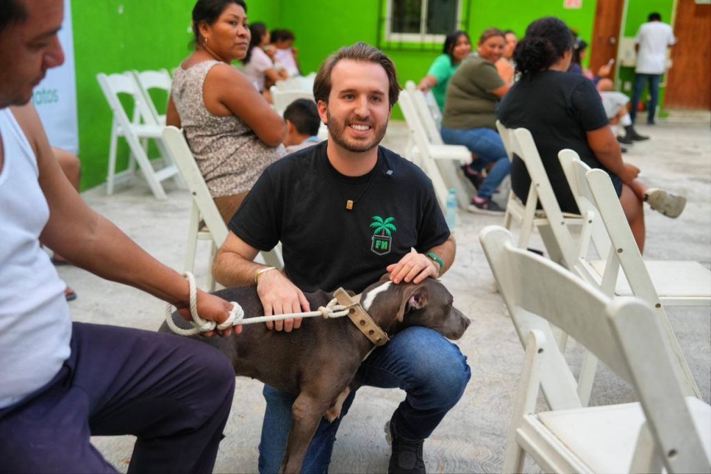 Microchips gratis para perros y gatos buscan reducir el abandono de mascotas en Playa del Carmen mediante el registro de animales.