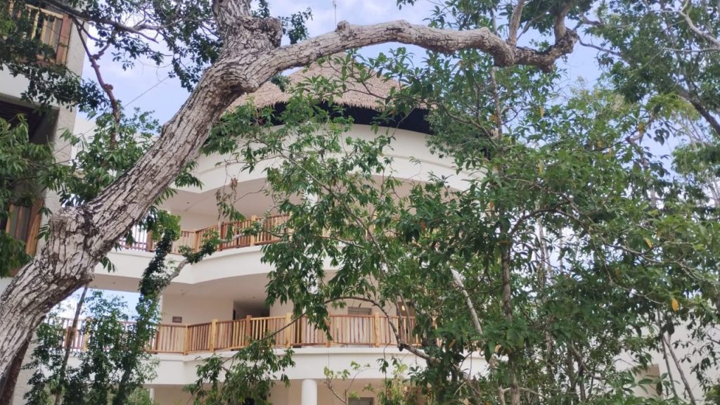 Turismo en Tulum registra 75% de ocupación hotelera y abre nuevas playas para visitantes.
