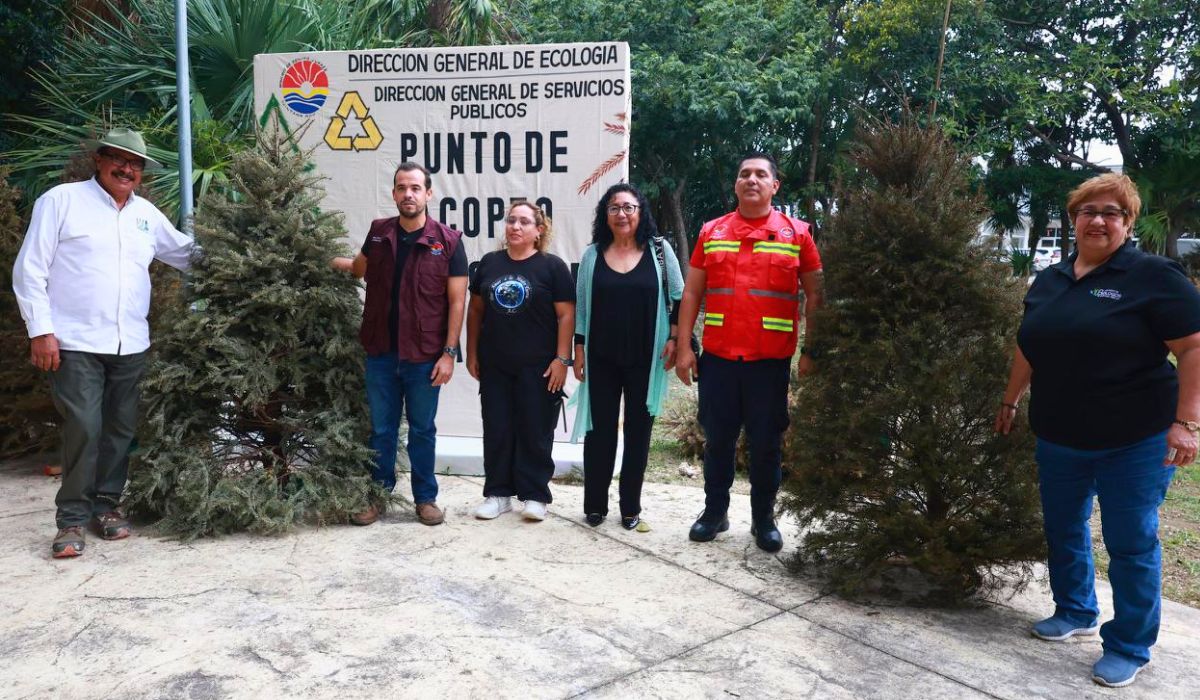 Inicia campaña de acopio de árboles de Navidad en Cancún