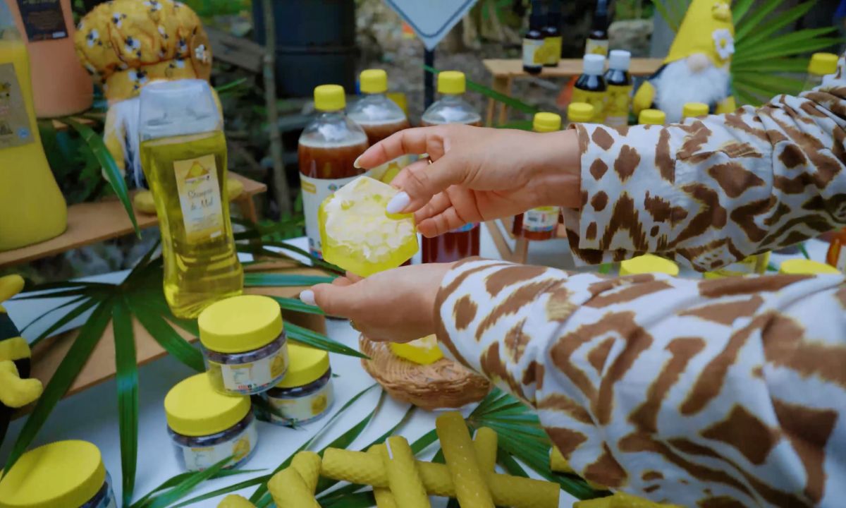 Playa del Carmen es nominado al Premio Excelencias Turísticas por la Ruta de la Miel y la Selva