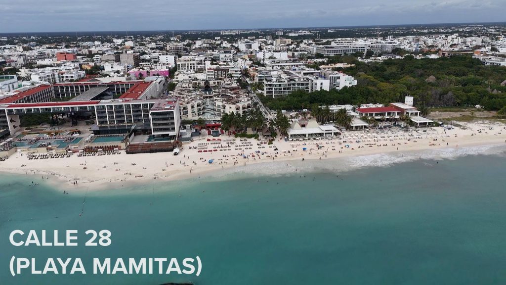 Instalación de barreras anti sargazo en Playa del Carmen para proteger cinco kilómetros de playas públicas.