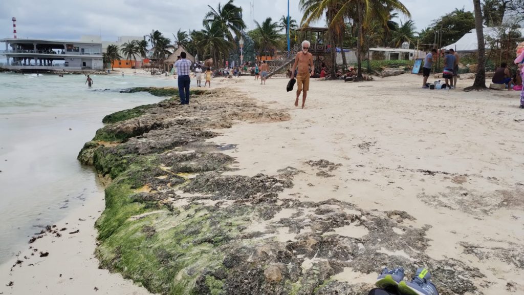 Autoridades combatirán contaminación en cenotes de Playa del Carmen con ...