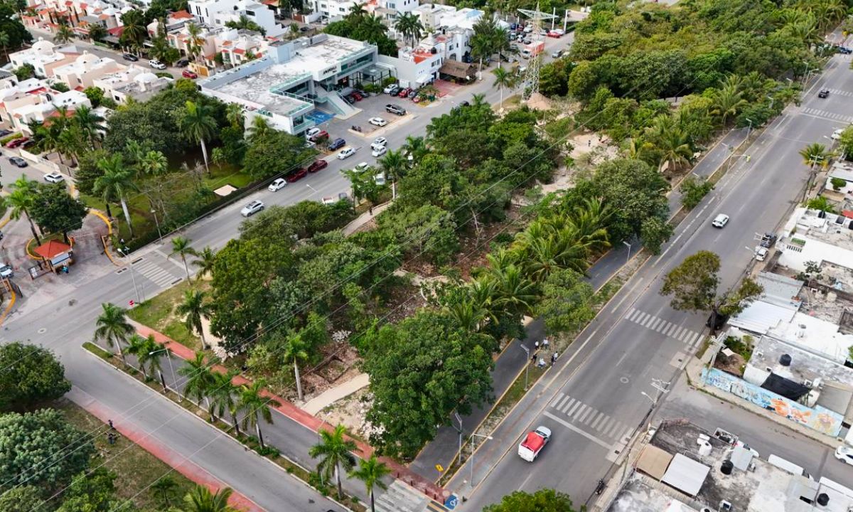 Avanza el Jardín Medicinal Maya en el Parque de la Equidad de Cancún