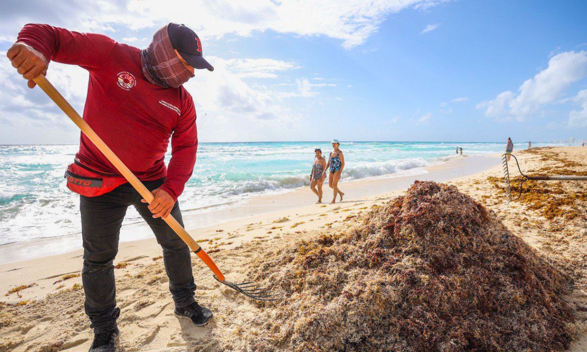 Cancún retira más de 16 mil toneladas de sargazo en 2025