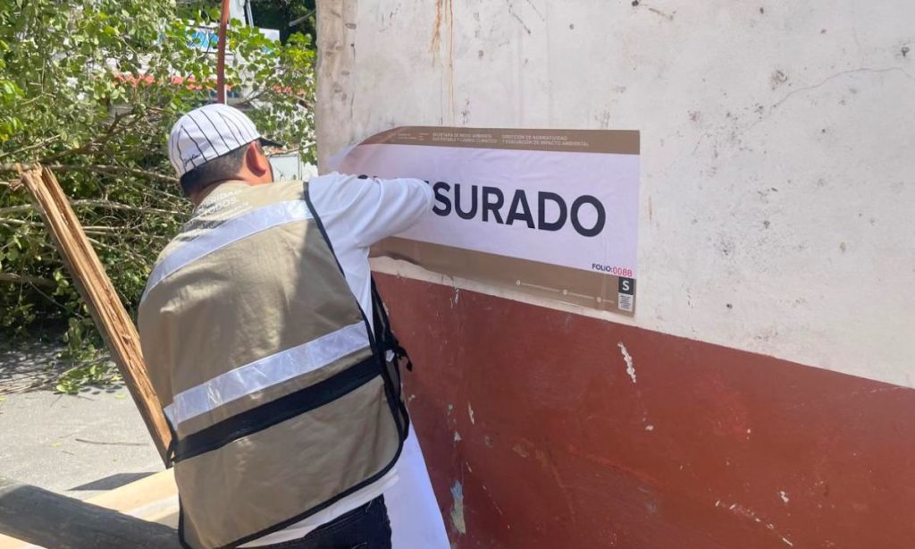 Clausuran obra por derribo de árbol en Playa del Carmen