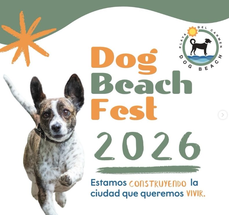Dog Beach Fest 2026 en Playa del Carmen promoverá la adopción de perros y el bienestar animal el 14 de marzo.