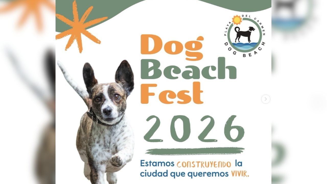 Dog Beach Fest 2026 en Playa del Carmen promoverá la adopción de perros y el bienestar animal el 14 de marzo