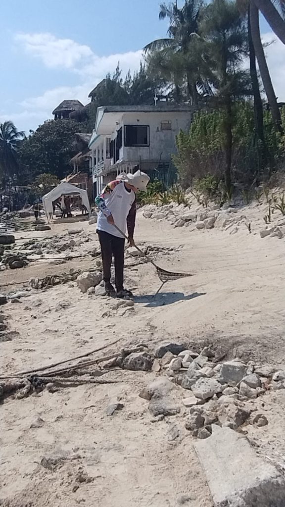 El sargazo en Playa del Carmen obliga al municipio a destinar 46 mdp para la limpieza de playas en 2026.