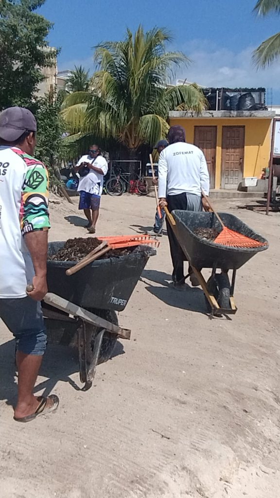 El sargazo en Playa del Carmen obliga al municipio a destinar 46 mdp para la limpieza de playas en 2026.