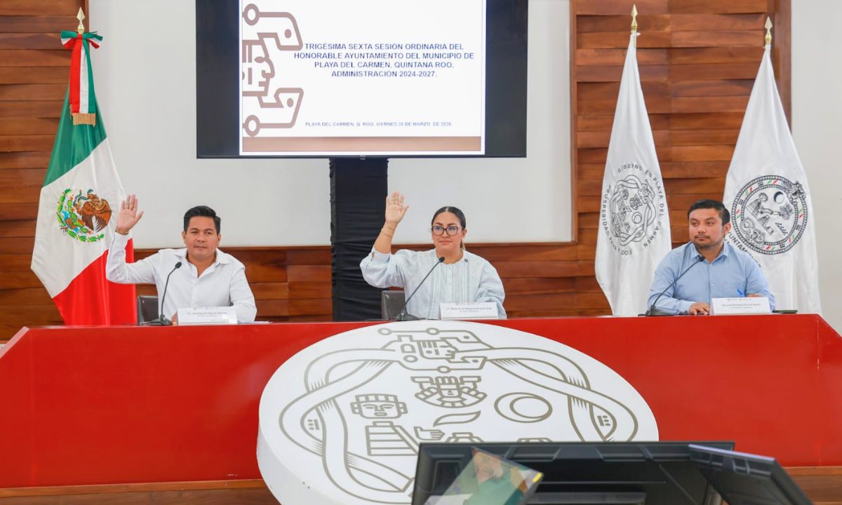 Abre convocatoria para el Consejo de Paz y Justicia Cívica de Playa del ...