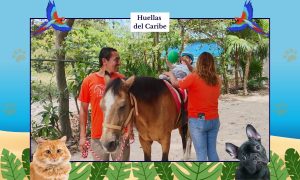 Huellas del Caribe 12
