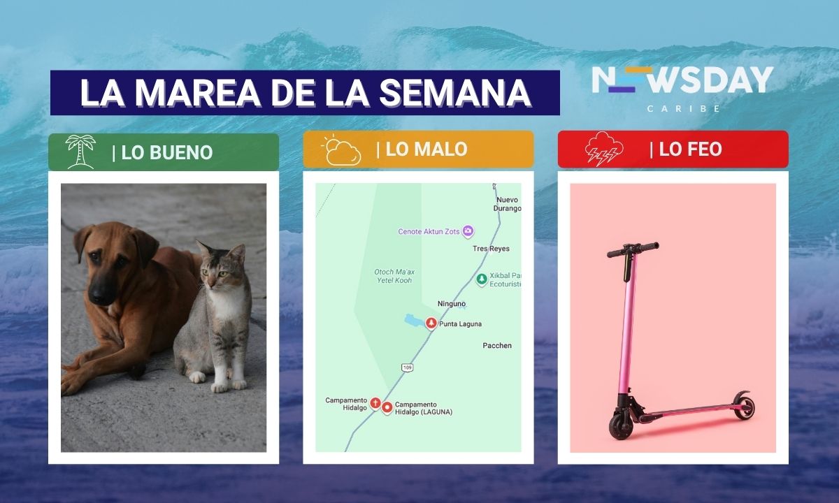 La marea de la semana (2)