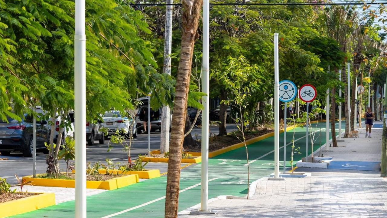 Cajones de estacionamiento en Playa del Carmen, en disputa tras la construcción de la ciclovía en la avenida 10.