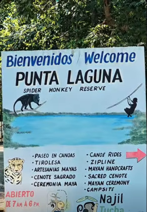 Integrantes de las comunidades mayas de Playa del Carmen, Punta Laguna e Hidalgo y Cortés, esperan definir su situación territorial y acceder a servicios básicos.