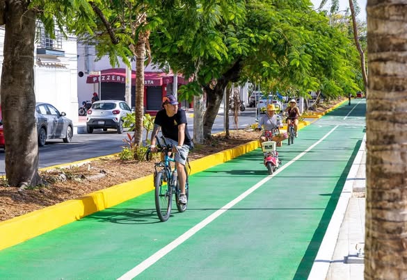Cajones de estacionamiento en Playa del Carmen, en disputa tras la construcción de la ciclovía en la avenida 10.
