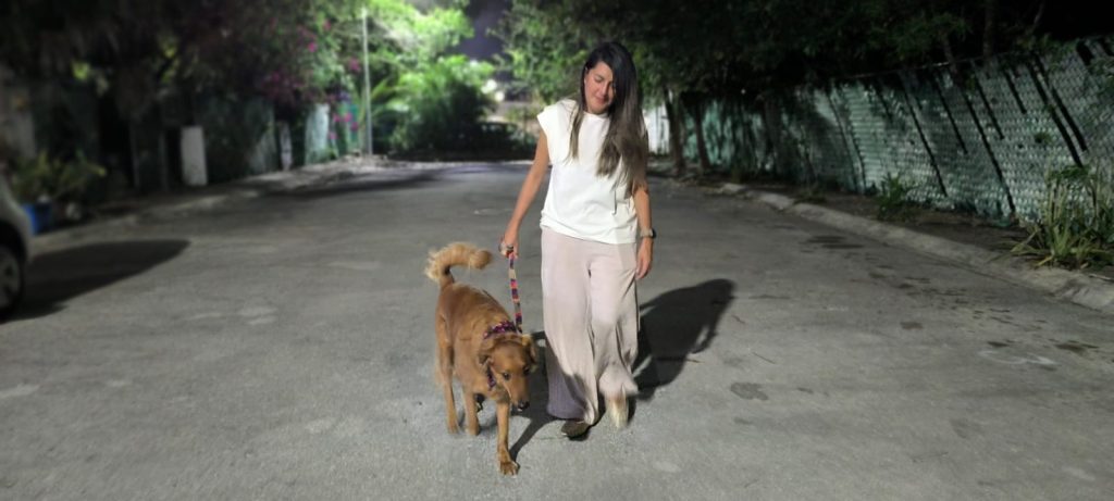 "Chanel", la perrita chocolate que llegó bajo la lluvia y se quedó para siempre, una historia de amor y rescate que forma parte de Huellas del Caribe.