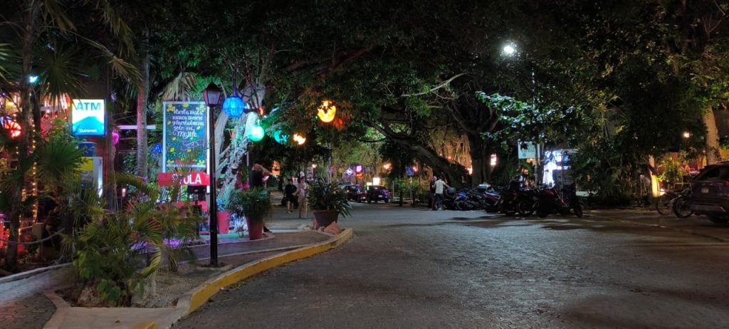 La calle 38 mantiene la esencia de la idea de mantener más verde y con vegetación la zona turística, lo cual la convierte en la única vía arbolada