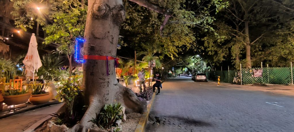 La calle 38 mantiene la esencia de la idea de mantener más verde y con vegetación la zona turística, lo cual la convierte en la única vía arbolada