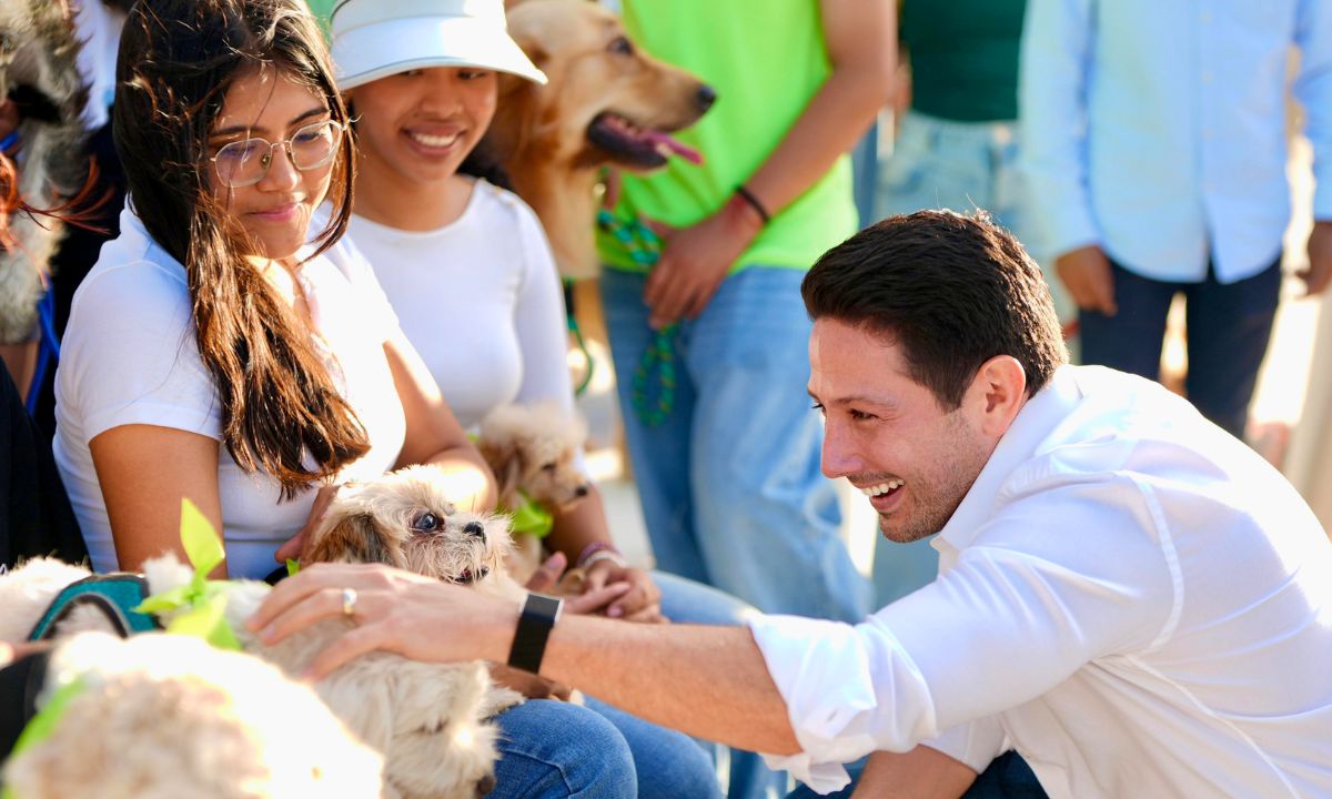 clínicas veterinarias públicas en Quintana Roo