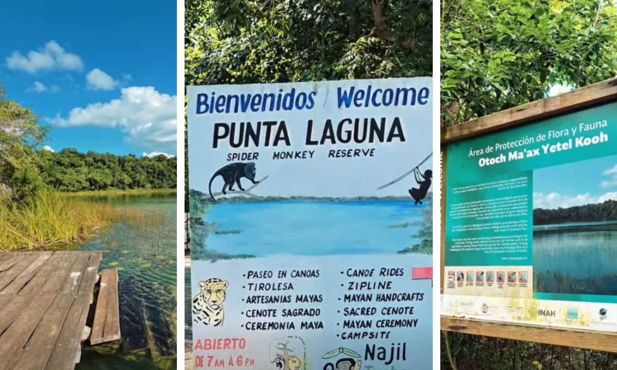 comunidades mayas