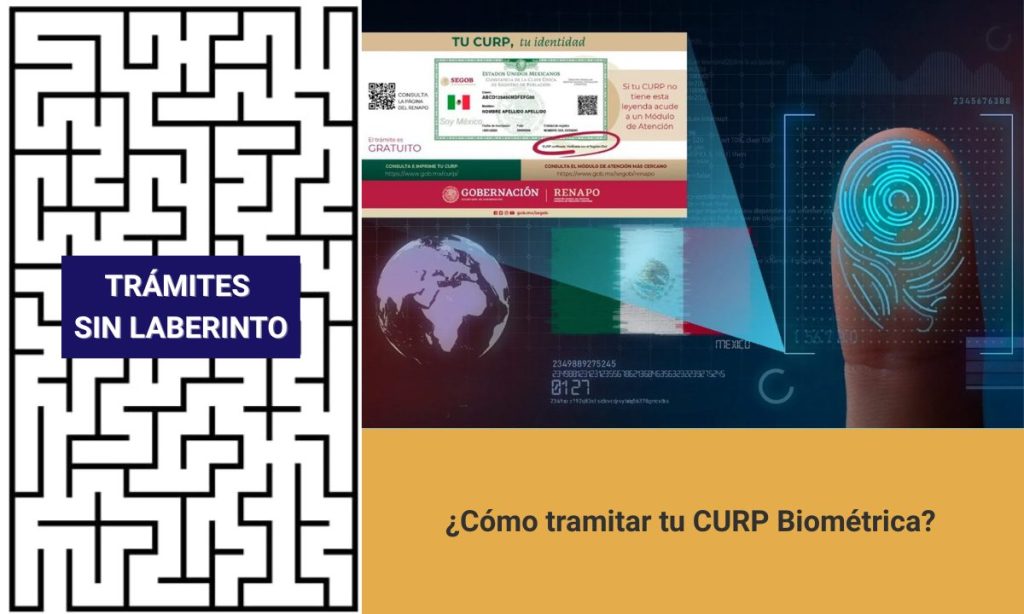 Qué es la CURP biométrica: el nuevo documento oficial que incluye huellas, iris y fotografía, ya disponible en módulos del Registro Civil de Quintana Roo.