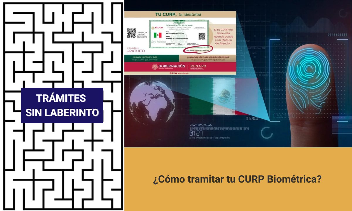 Qué es la CURP biométrica: el nuevo documento oficial que incluye huellas, iris y fotografía, ya disponible en módulos del Registro Civil de Quintana Roo.