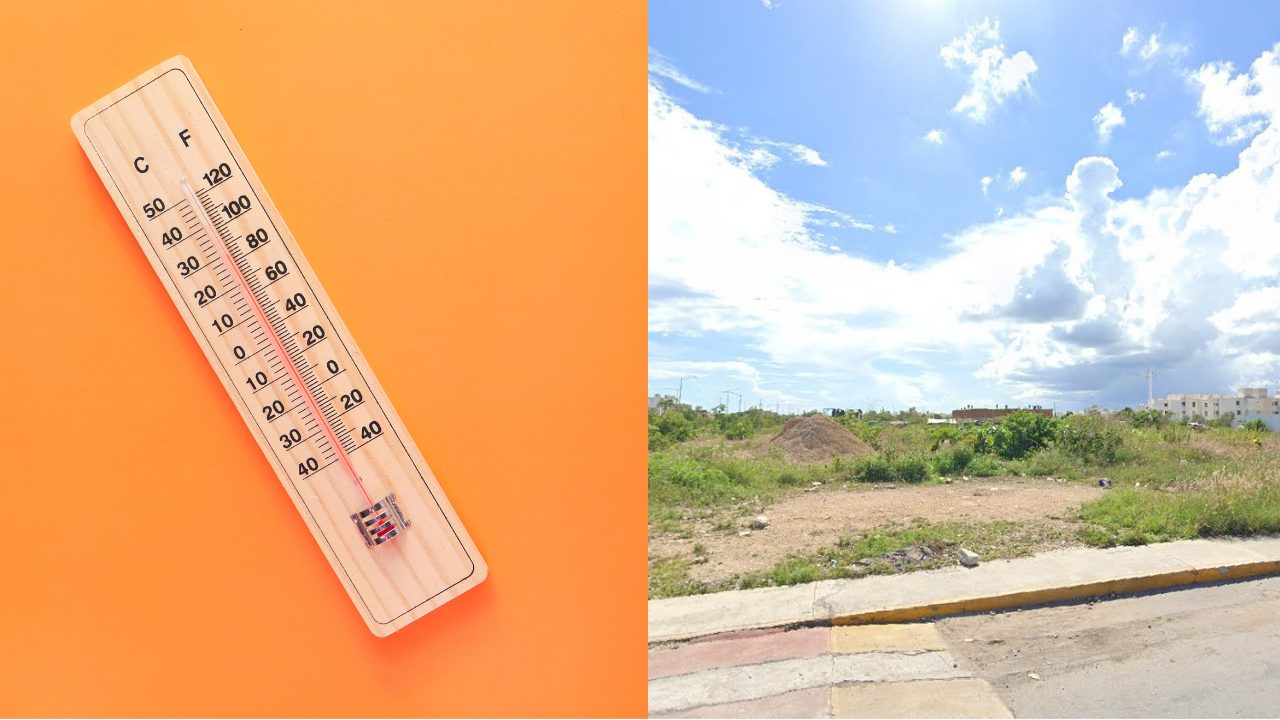 Déficit de árboles en Playa del Carmen dispara las temperaturas a 40 ...