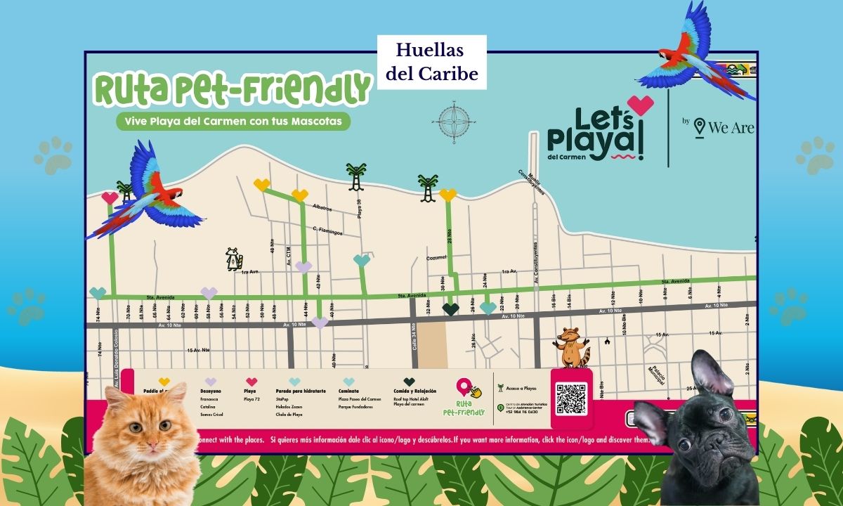 Ruta Pet Friendly en Playa del Carmen 7