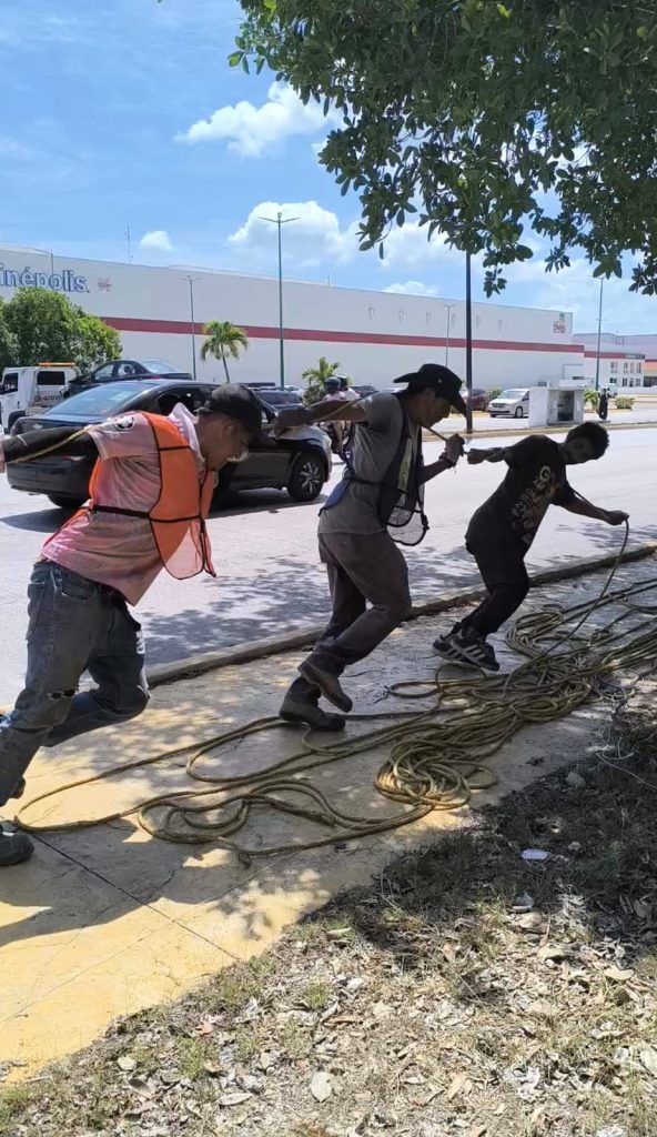 Empleados subcontratados por la CFE se encargan de jalar el cableado subterráneo.