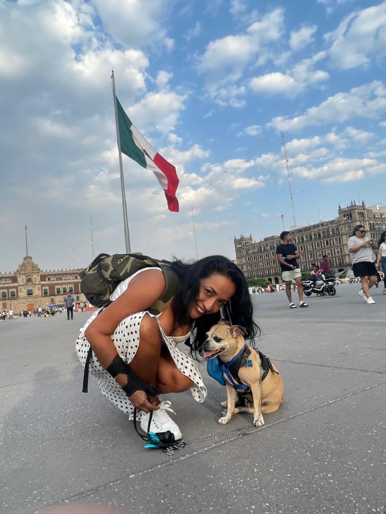 Alejandra Jiménez y sus perritos chihuahua de Playa del Carmen, su familia perruna y compañeros de vida. 🐾