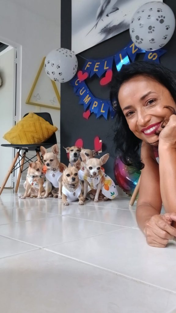 Alejandra Jiménez y sus perritos chihuahua de Playa del Carmen, su familia perruna y compañeros de vida. 🐾