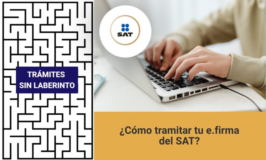 Cómo sacar tu e.firma en Quintana Roo: el trámite es gratuito y presencial por primera vez en módulos del SAT de Cancún, Playa, Chetumal y Cozumel.