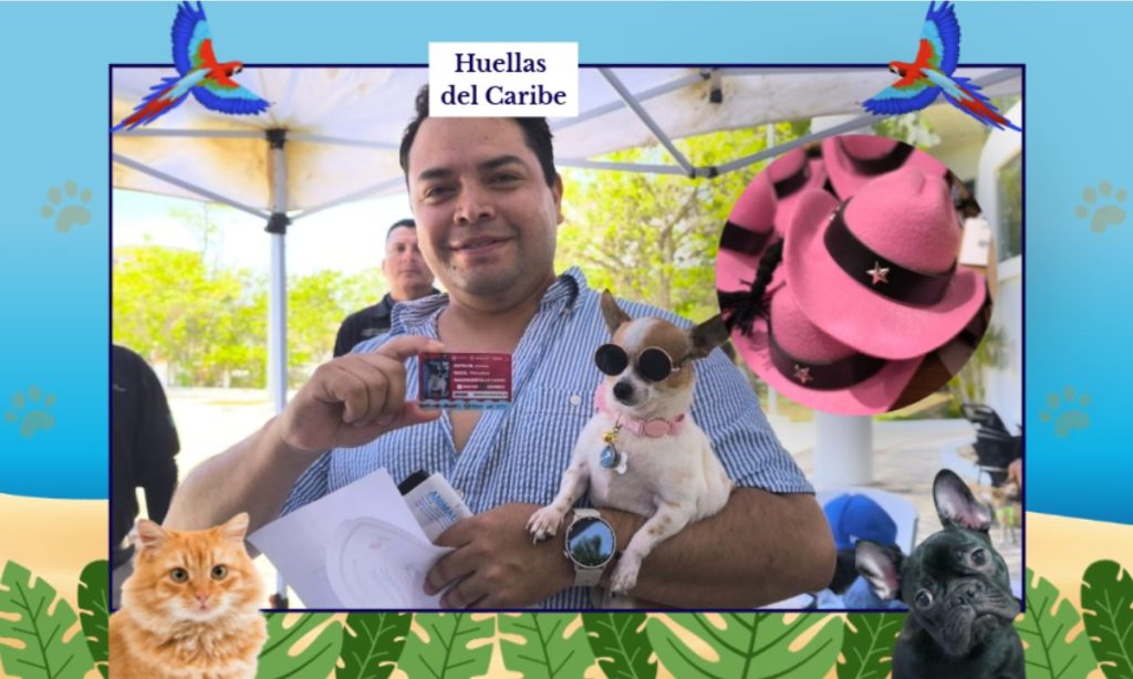 Hoy en Huellas del Caribe: Los descuentos para mascotas en Playa del Carmen incluyen ropa, accesorios y juguetes para consentir a los "perrhijos" esta temporada baja.
