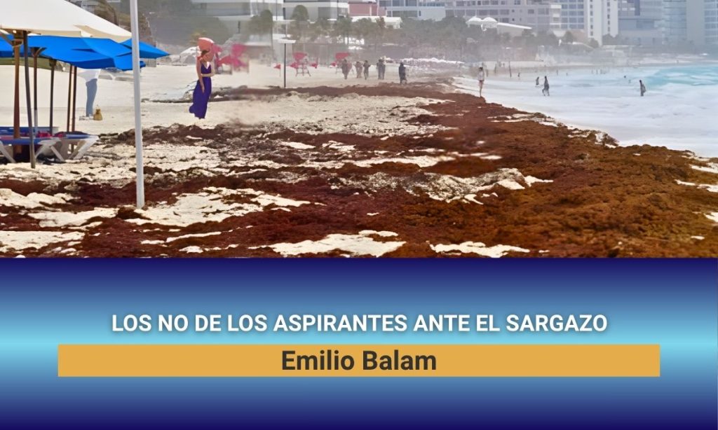 Los NO de los aspirantes ante el sargazo