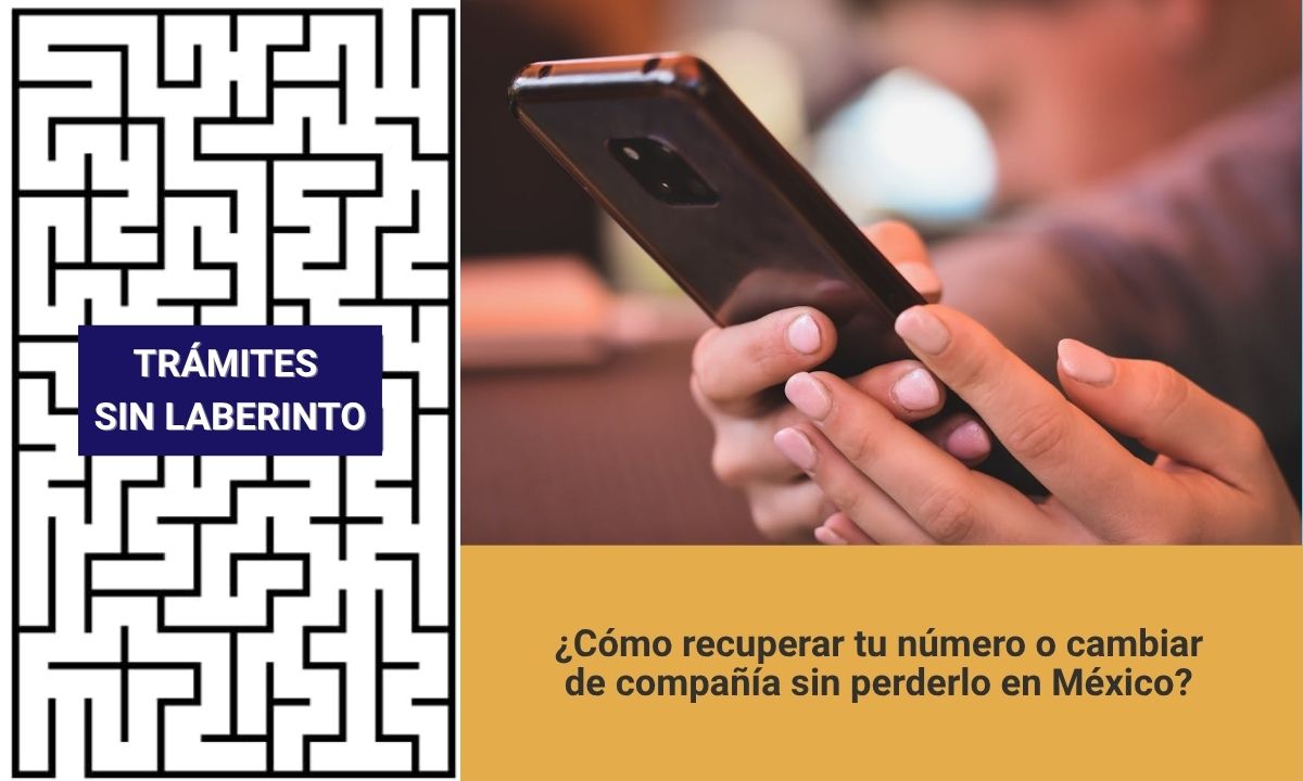 número celular
