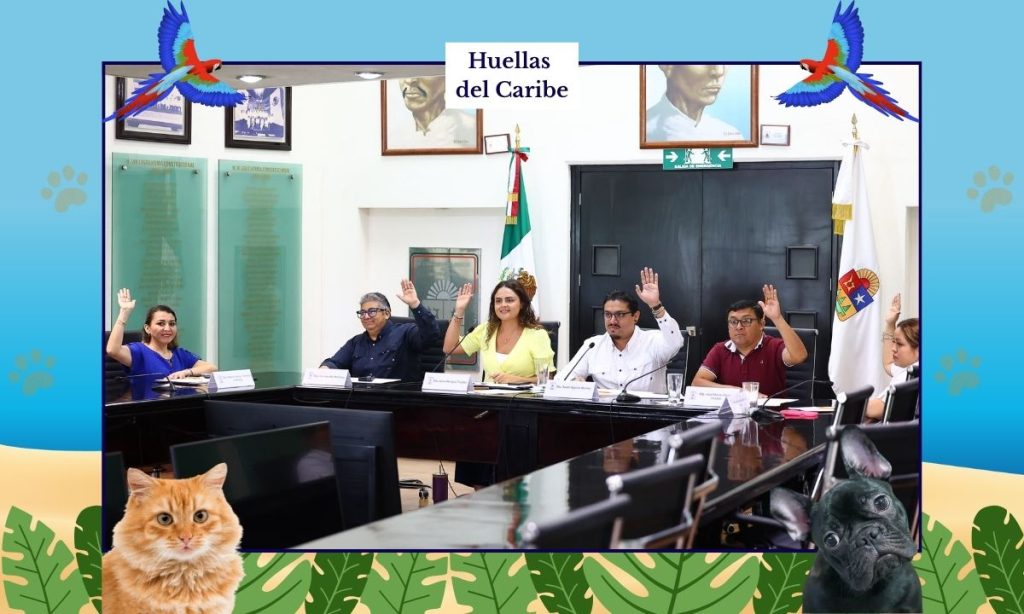 Analizan iniciativas de protección animal en Quintana Roo para reconocer a los animales como seres sintientes