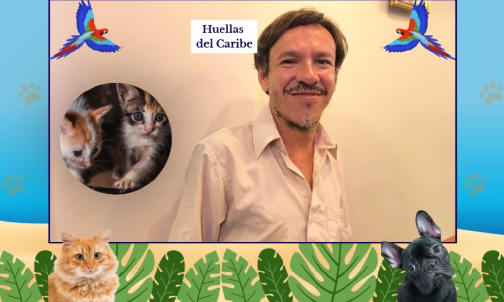 Carlos Flores, conocido como "El Abogato" de Playa del Carmen, dedica su tiempo libre al rescate de gatos y perros.