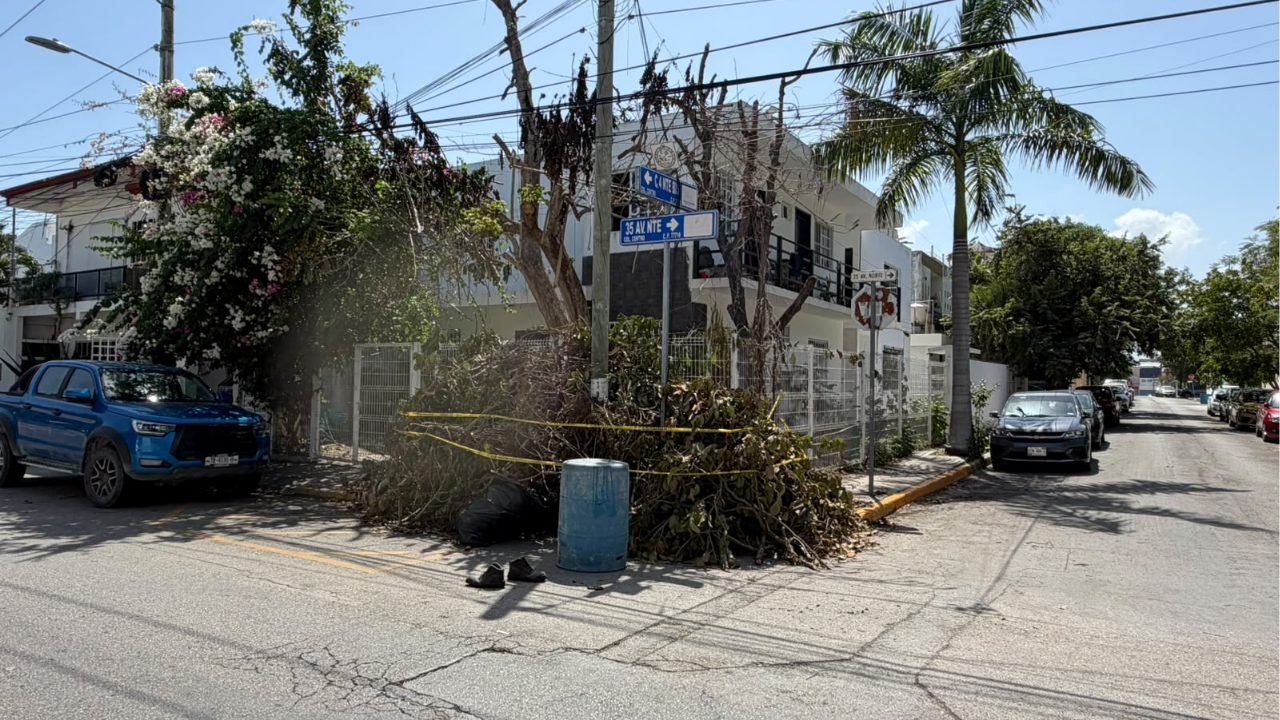 Reportan fallas eléctricas en Playa del Carmen durante trabajos de poda realizados por la CFE.