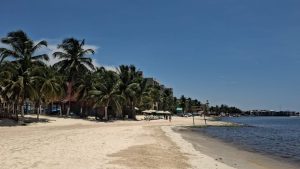 Disminución de sargazo en playas de Playa del Carmen: arenales limpios rumbo a la temporada vacacional.