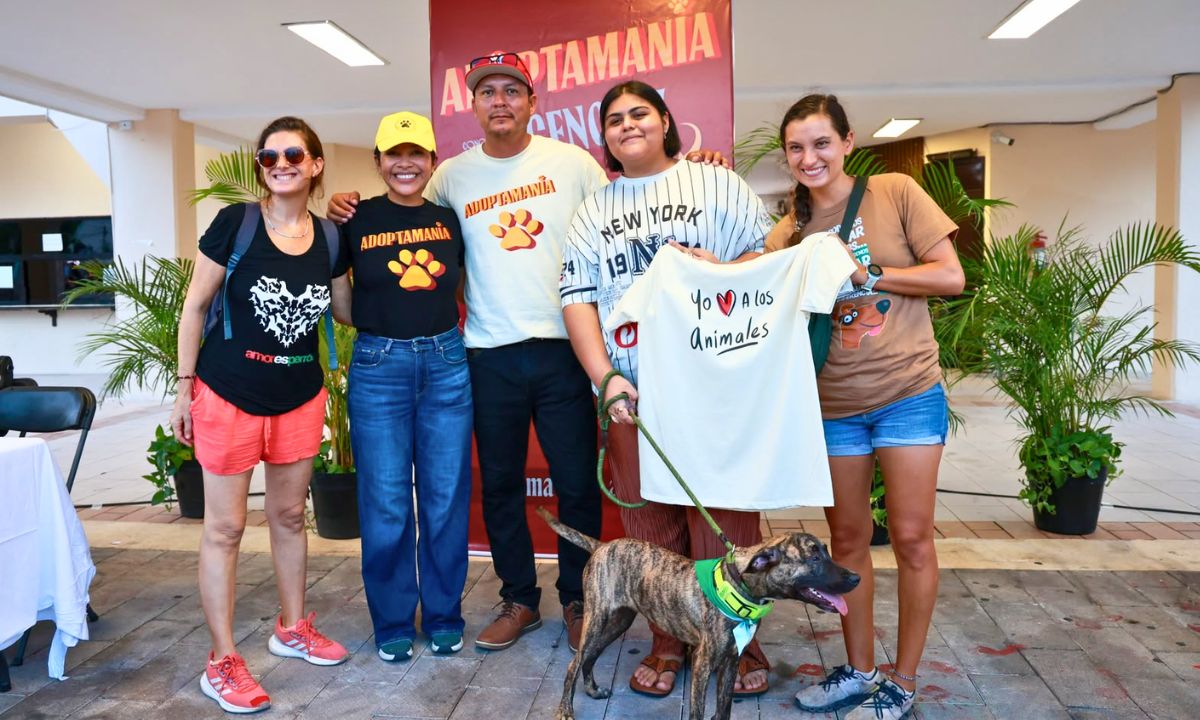 adoptamanía