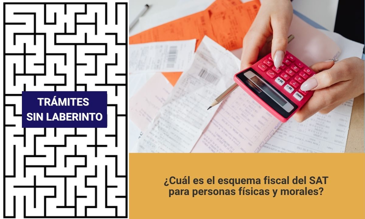 esquema fiscal del SAT para personas físicas y morales